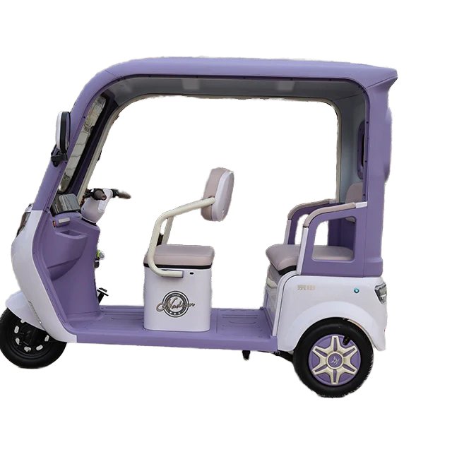 2025 EEC DOT Certified Steel Electric Passenger Tricycle 1000W Power 3 Seat Options 400kg Load Capacity 800W Motor 72V 48V 60V